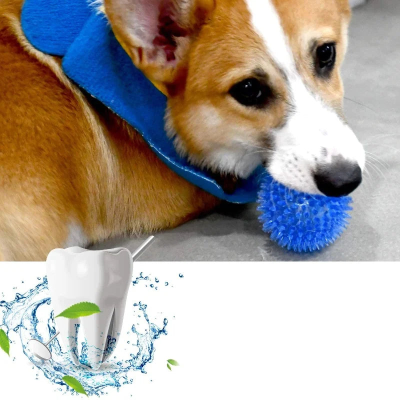 Squeaky Puppy Big Dog Ball Chew Toy for Small Medium Dogs Teeth Cleaning Pet Accessory Ideal for French Bulldogs Corgis